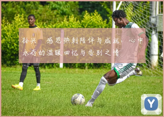 孙兴慜感恩热刺陪伴与成就，心中永存的温暖回忆与告别之情